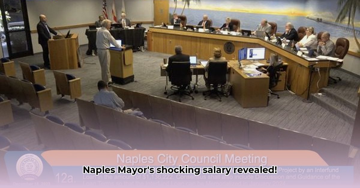 naples-mayor-salary